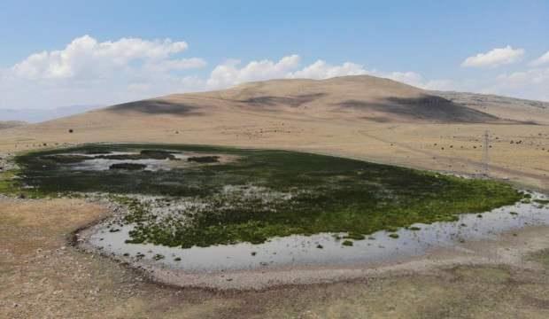 Erzurum'da 20 farklı kuş türüne ev sahipliği yapan göl kurudu