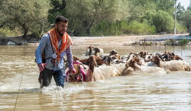 Denizli’de düzenlenen 8 asırlık geleneğe şap engeli