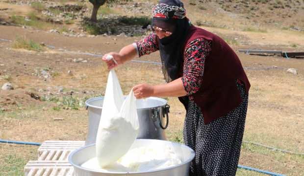 Kahvaltı sofralarının gözde lezzeti: Erzincan tulum peyniri