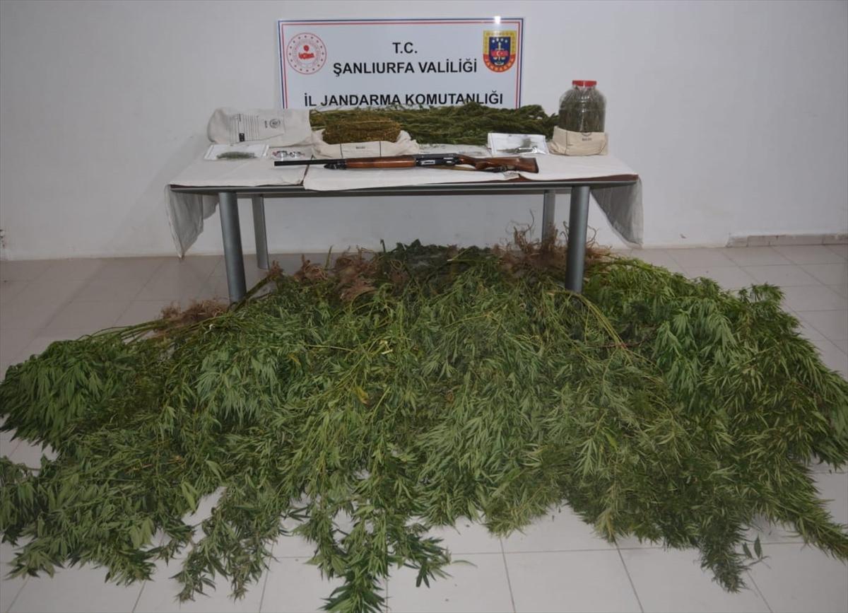 Şanlıurfa'da uyuşturucu operasyonunda 5 şüpheli gözaltına alındı.