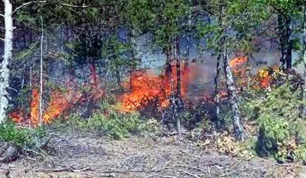 Tokat’ta orman yangını! Bölgeye çok sayıda ekip sevk edildi