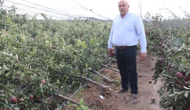 Karaman'da binlerce elma ağacı kökünden kırıldı