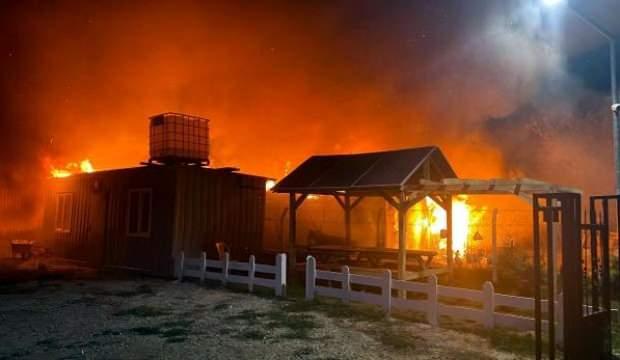 Çiftlikte korkunç yangın! Hayvanları ve tonlarca buğday yandı