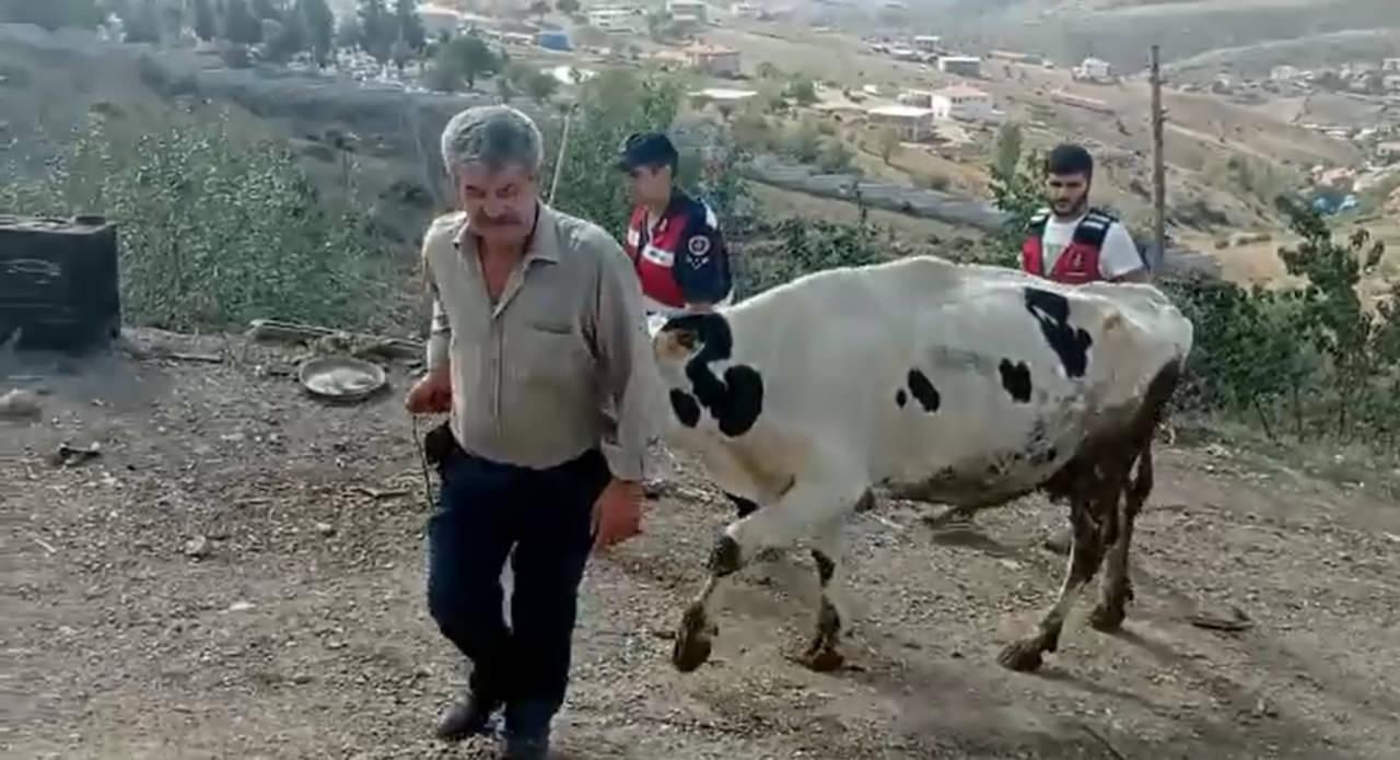 Balıkesir inekleri çalınan çiftçi
