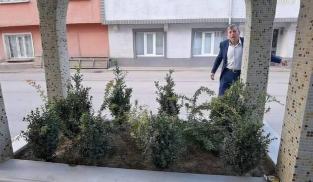 Bursa'da yol kenarındaki gizemli mezarın sırrı çözülemiyor