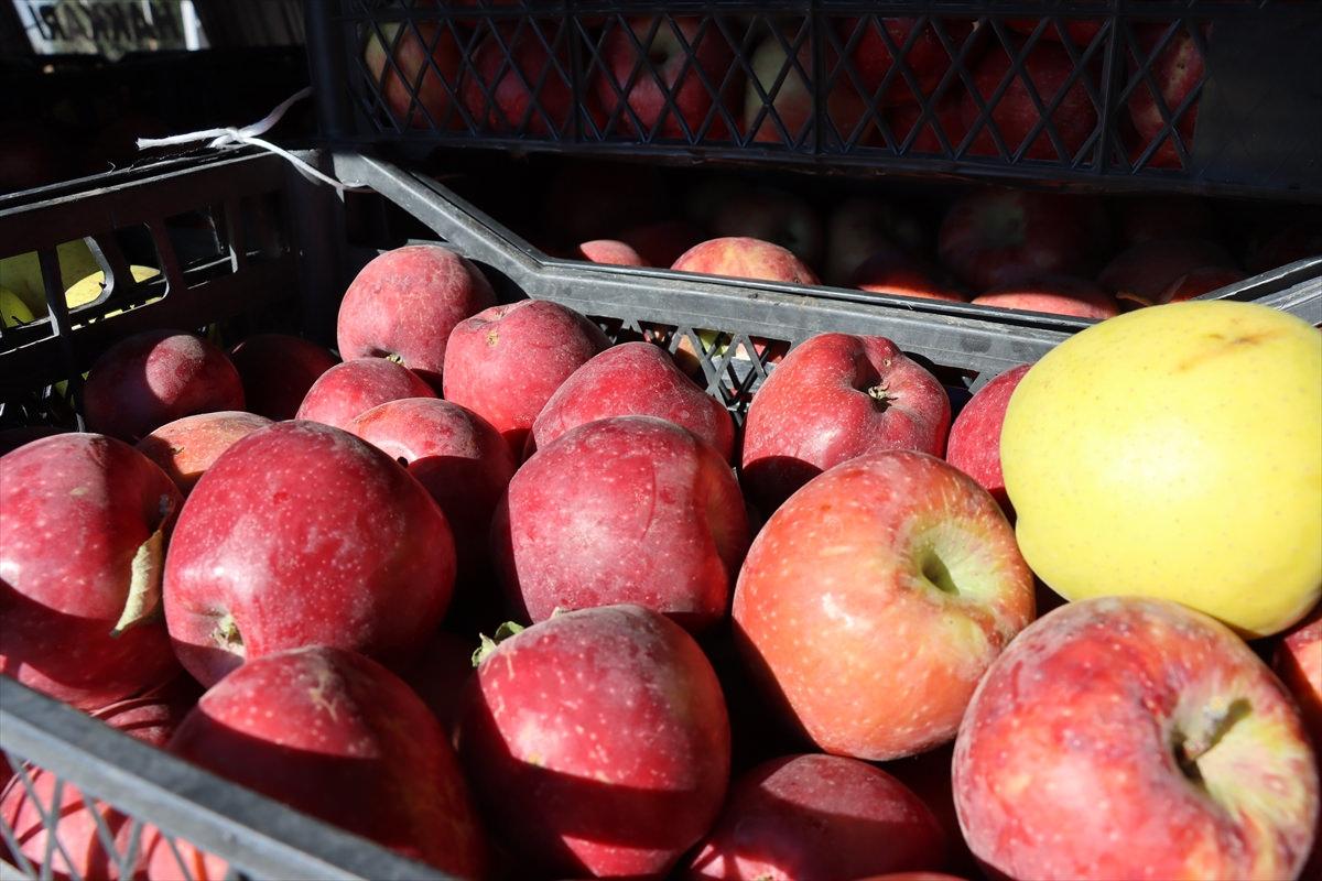 Kilis'e Denizli'den 70 kasa elma getiren Muhammet dede