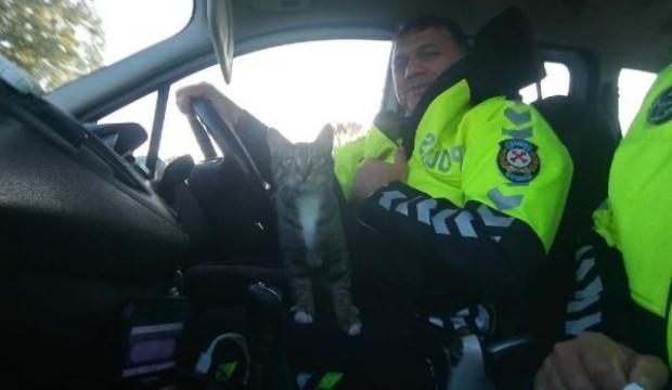Ölümden kaçan kedi polislere sığındı