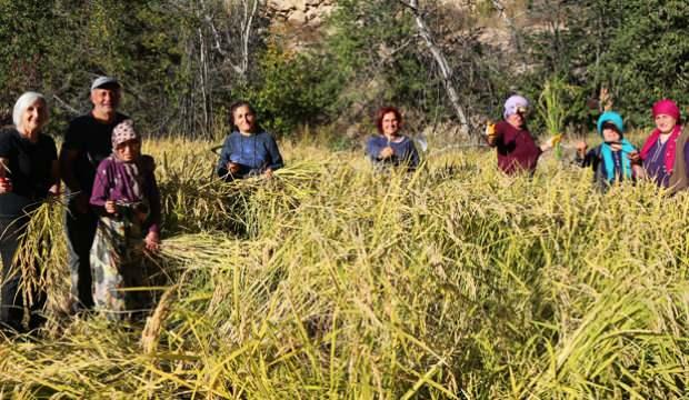 Artvin’de 20 yıl sonra bir ilk! Kadın çiftçiler ata tohumunu toprakla buluşturdu