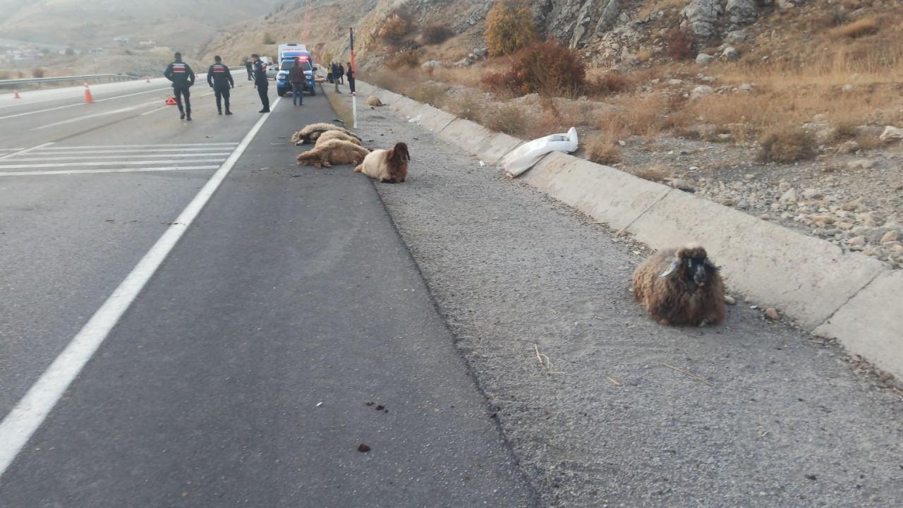 Malatya'da otomobil koyun sürüsüne daldı