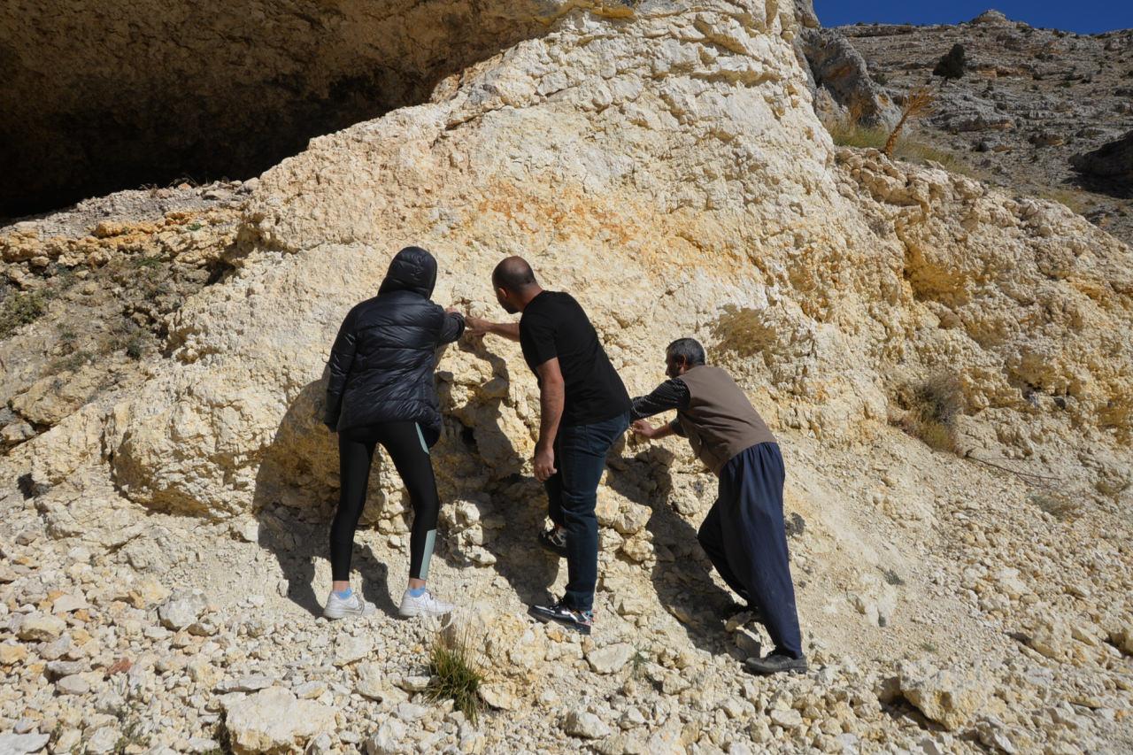 Mersin'de 35 milyon yıllık fosil bulundu
