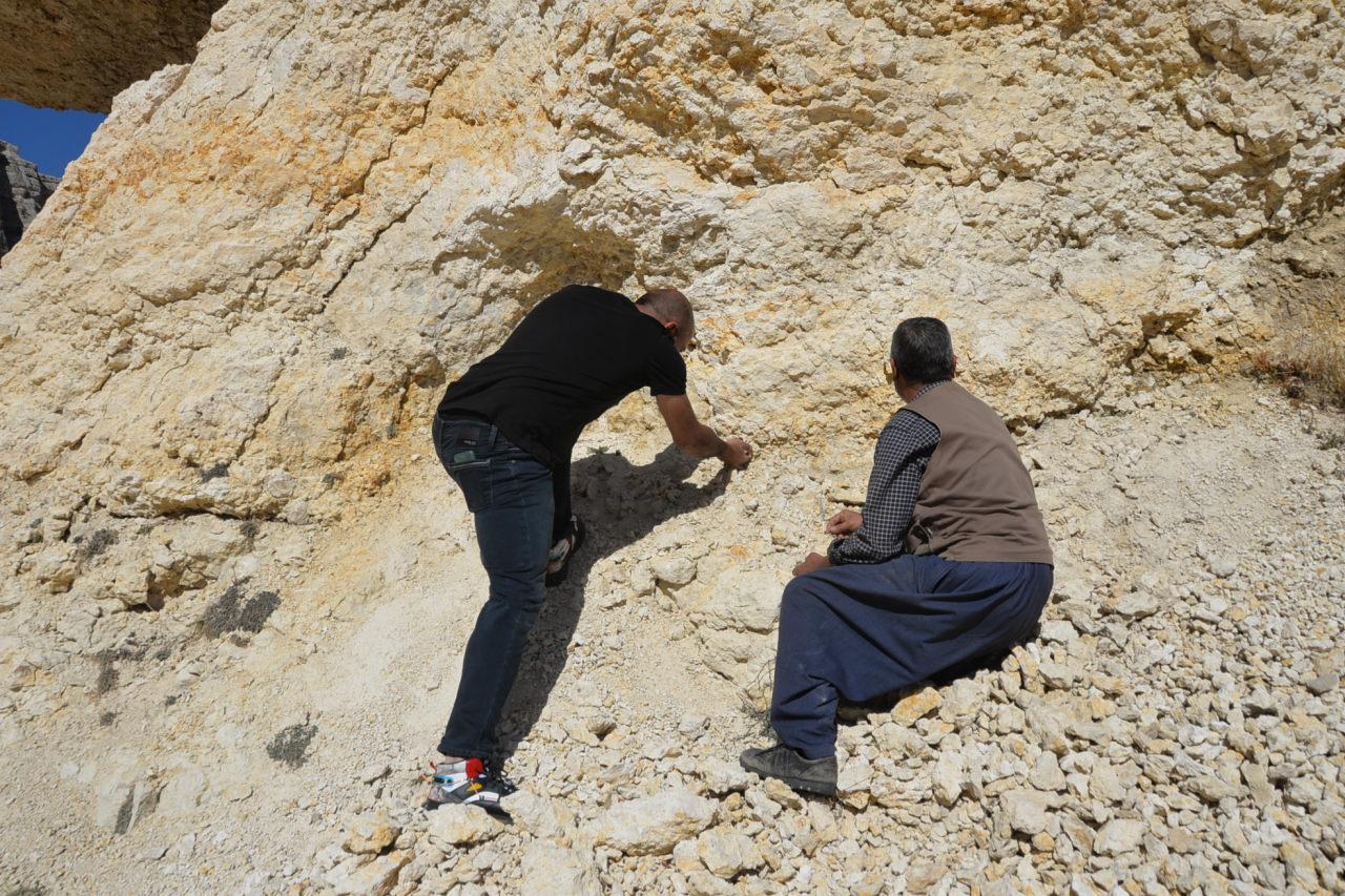 Mersin'de 35 milyon yıllık fosil bulundu