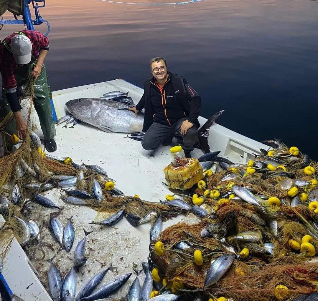 Marmara Denizi'nde balıkçıların ağına takılan devasa Orkinos