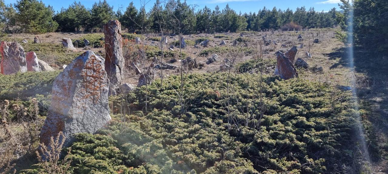Onanizm bilan shugullanadigan erkaklar qizlarga tegadi Voyaga etgan gey bilan jinsiy aloqa