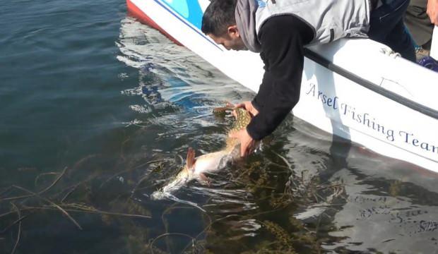 Türkiye rekorunu kırdı! Yakalanan en uzun balık