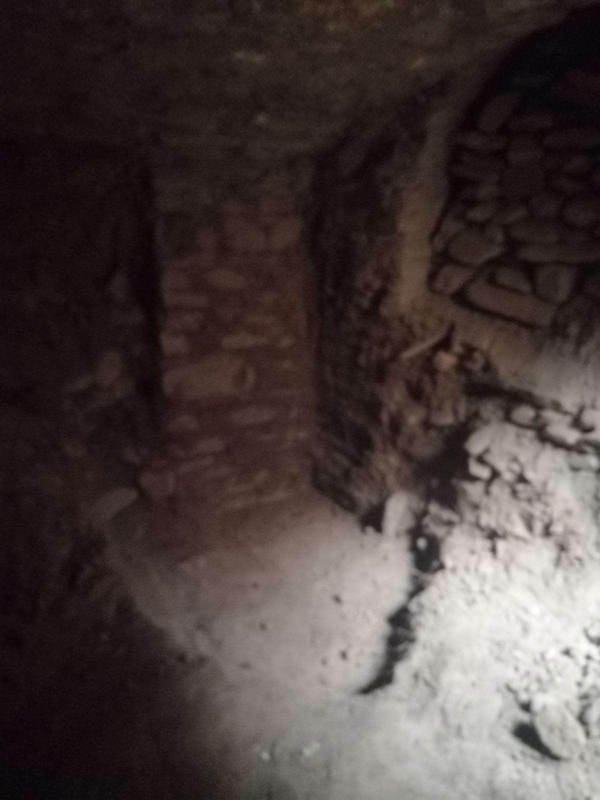 Aydın'da tarihi eser kaçakçılarının yakalandığı antik kent
