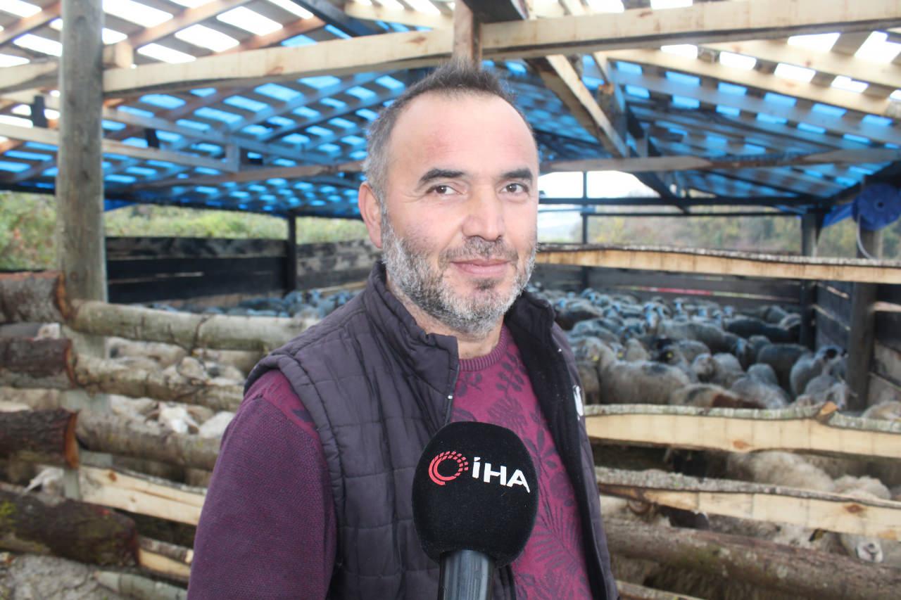Sinop'ta koyunları çalınan besici