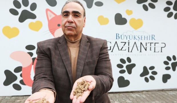 Gaziantep Büyükşehir, gastronomi lezzetlerini sokak hayvanlarına mama olarak sunuyor