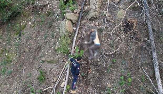 Antalya'da feci ölüm! Ağaç keserken 70 metrelik uçurumdan düştü