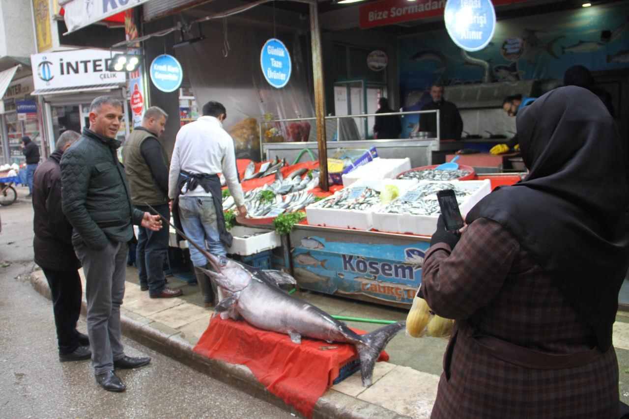 Denizi olmayan Elazığ'daki devasa kılıç balığı şaşkınlık yarattı