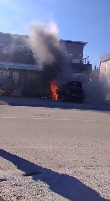 ZW4UD 1641135843 5189