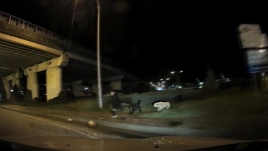 Un enfant fuyant un chien à Rize s'est jeté devant la voiture.  Lorsque le conducteur prudent s'est arrêté au dernier moment, le garçon a été sauvé de l'attaque du chien.  (AA)