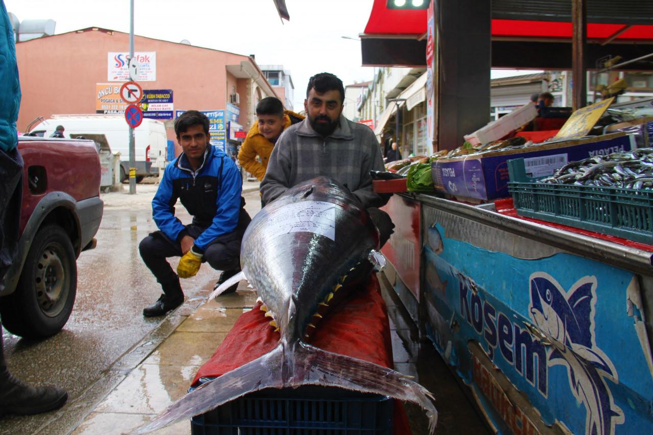 Denizi olmayan Elazığ'da devasa orkinos balığı şaşkınlığı!