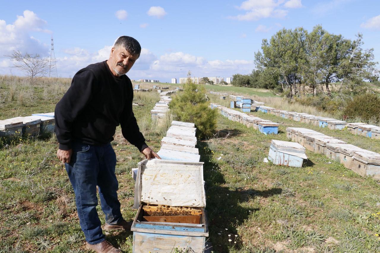 Adana'da hırsızlar 700 adet bal peteğini çalıp, yüzlerce arıyı telef ettiler