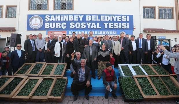 Şahinbey Belediyesi'nden çiftçilere 33 milyon fide desteği