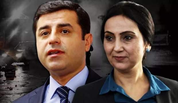 AİHM'den Selahattin Demirtaş ve Figen Yüksekdağ kararı: HDP'den ilk açıklama