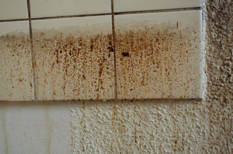 4 etkili yöntem: Duvardaki yağ lekeleri nasıl temizlenir?