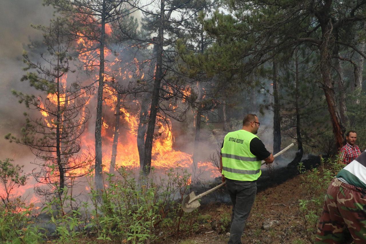 Eskişehir'de orman yangını! Karayolu trafiğe kapatıldı