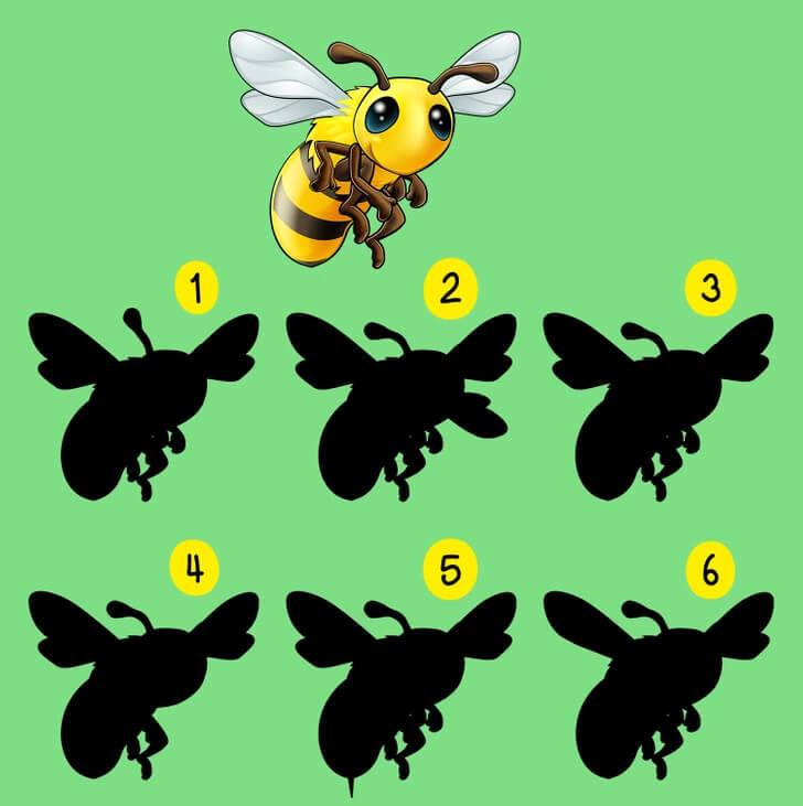 Yüksek dikkat gerektiren zekâ testi: Resimdeki arının doğru gölgesini 24 saniye içerisinde bulabilir misiniz?