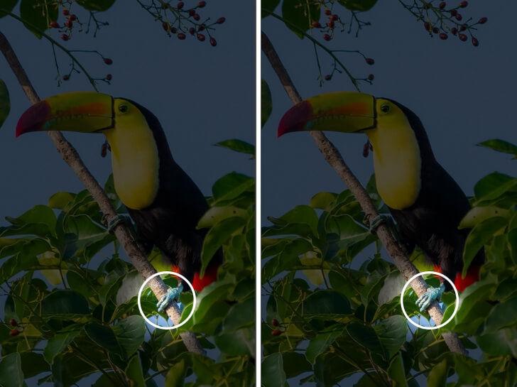 Keskin gözlerinizi kullanın: İki resim arasındaki tek farkı 6 saniye içerisinde bulabilir misin?