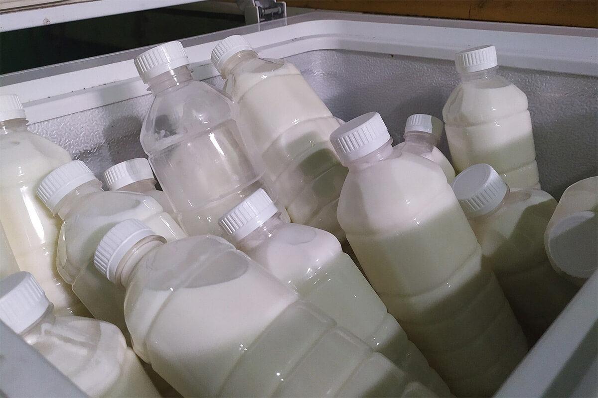 Süt nasıl dondurulur? Çiğ süt dondurucuya konur mu?