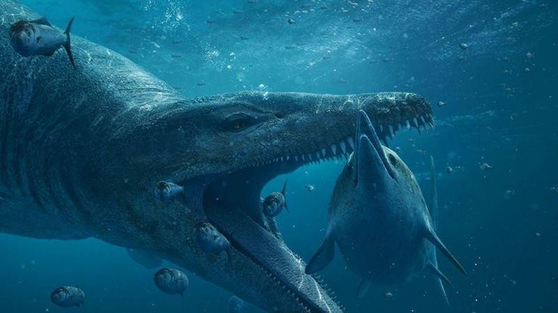 Pliosaurun yaklaşık 150 milyon yıl önce yaşadığı biliniyor.