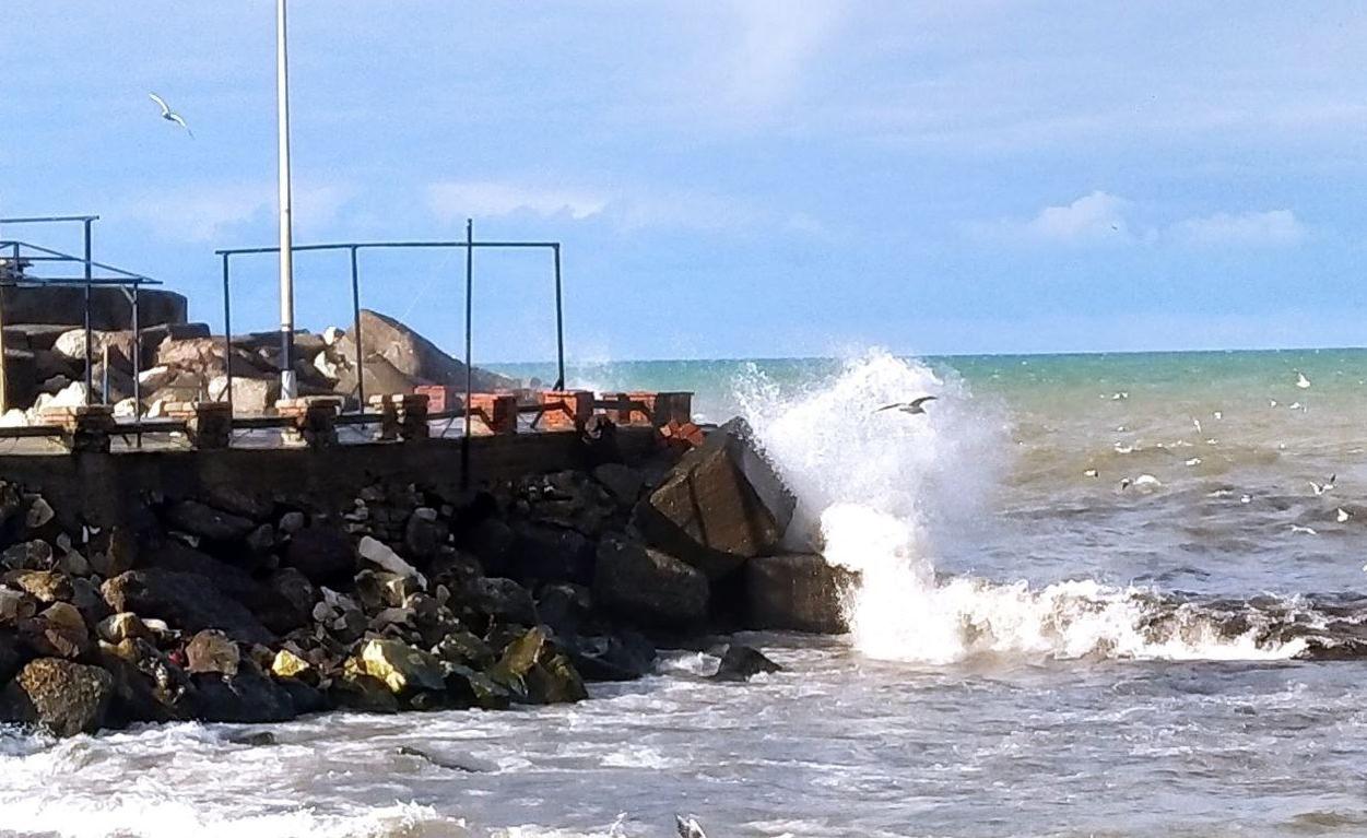 Düzce'nin Akçakoca ilçesinde etkili olan kuvvetli rüzgar nedeniyle dalga boyu 4 metreye ulaştı.
