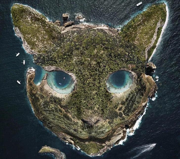 İlk bakışta kedi mi yoksa bir ada mı gördünüz? İlk gördüğünüz şey kişiliğiniz hakkında birçok şeyi gün yüzüne çıkarıyor