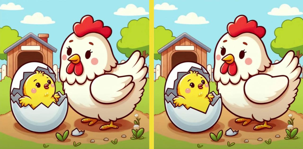 Tavuk ve yavru civcive ait iki resim arasındaki 3 farkı 10 saniye içerisinde bulabilir misiniz?