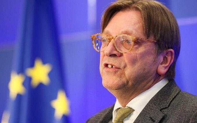  Guy Verhofstadt: Avrupa Parlamentosu milletvekili