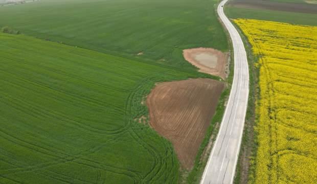 Trakya'da etkili olan yağışlar buğday ve kanola üreticisini ümitlendirdi
