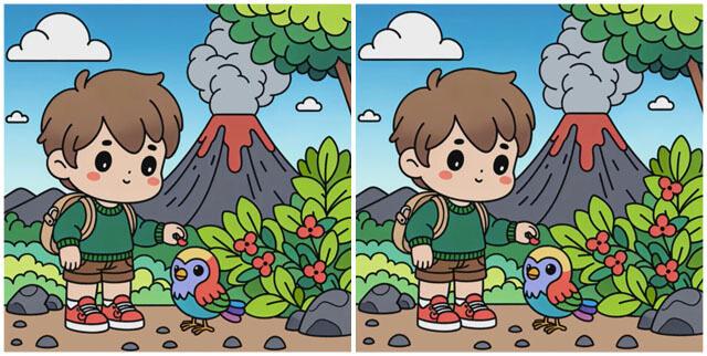 Ormanda kuş seven çocuğa ait iki resim arasındaki 3 farkı 15 saniye içerisinde bulabilir misin?
