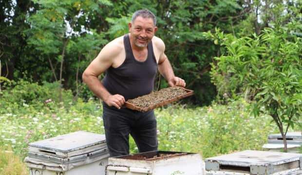 'Arılarım beni tanıyor' deyip, yaptığıyla görenleri hayrete düşürüyor