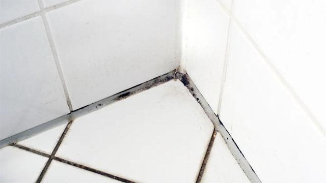 Banyo küfü nasıl temizlenir? Banyo küfü temizlemede tuvalet kağıdı hilesi!