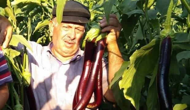 Zeytin ağacından düşen çiftçi 5 ay sonra öldü