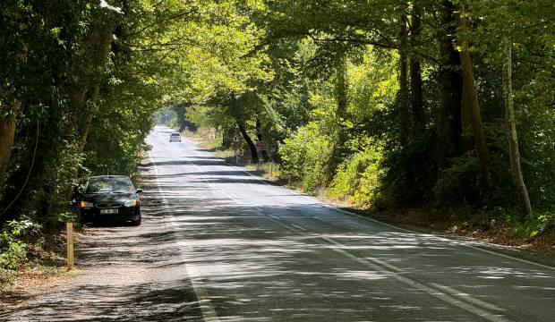 Bakanlık tarafından korunan Bartın'ın büyüleyici ağaç tüneli 