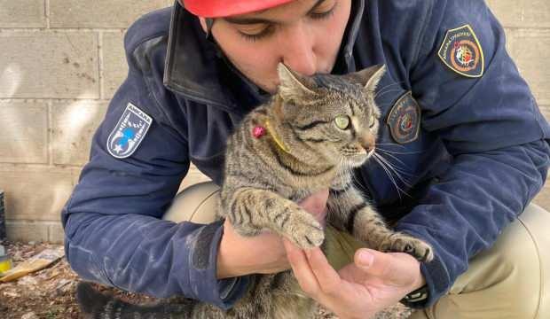 Depremde kurtarılan "Maraş" isimli kedi araba sallanınca bağırıyor