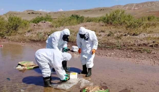 Dereye atılan kimyasal ilaçlar ekipleri harekete geçirdi