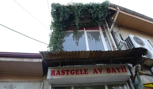 Gizemli sarmaşığın kökü ne içeride ne de dışarıda bulunamıyor