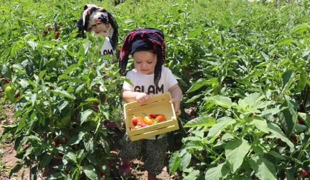 Şalvarlı minikler hamaratlıklarıyla konuşuluyor