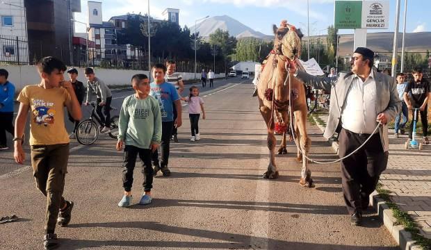 Sokakta gezintiye çıkarılan deveyi görenler şaşkın